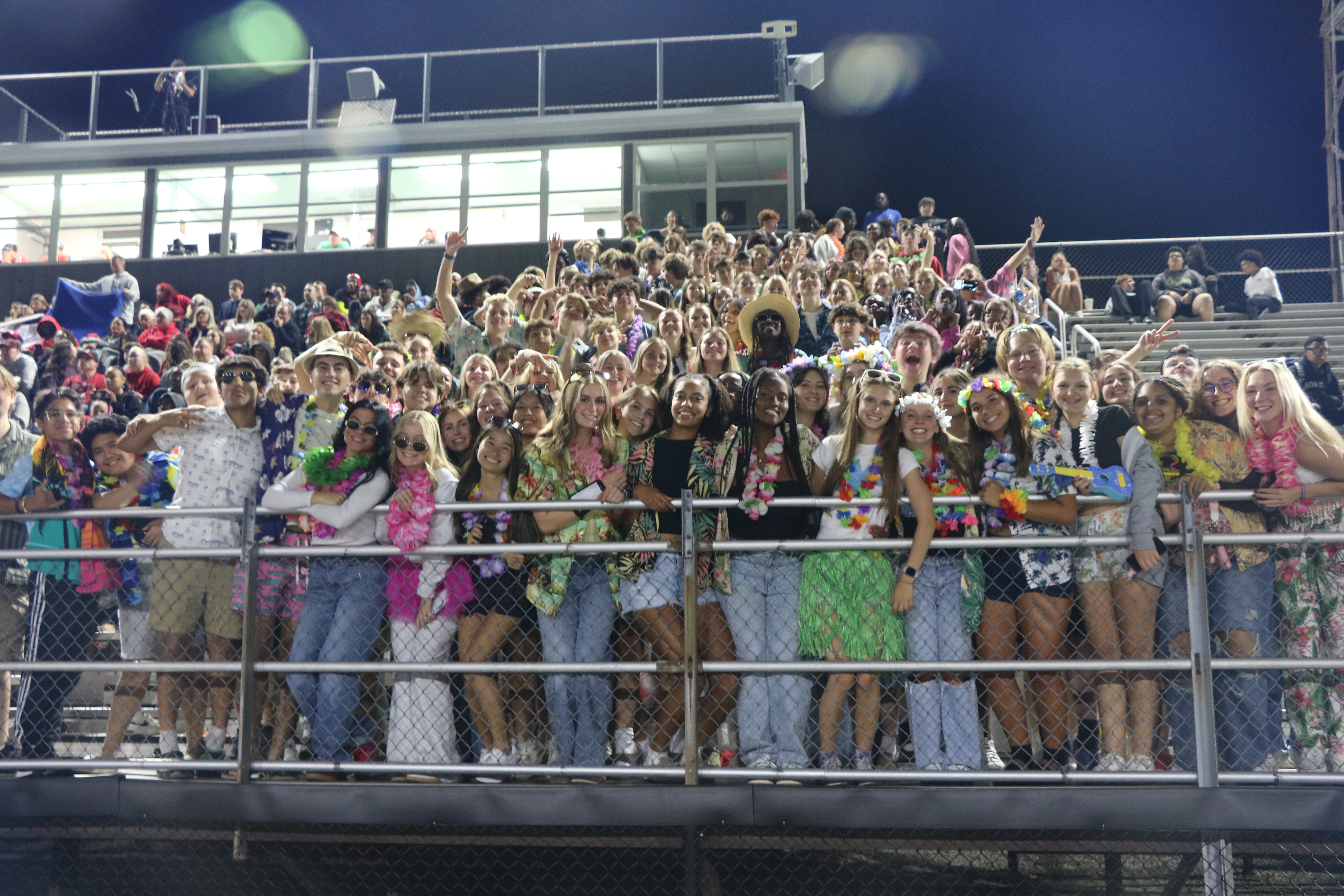 Hawaiian night