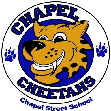 To develop a community of learners in which ALL students acquire the knowledge, skills and confidence to meet the challenges of a changing and increasingly diverse society.  PURPOSE  To share information regarding the successes and challenges of Chapel Street School with different segments of the community To provide members with the opportunity to serve in an advisory capacity based on their own perspectives To annually establish school goals To ultimately improve communication and understanding of school and community needs