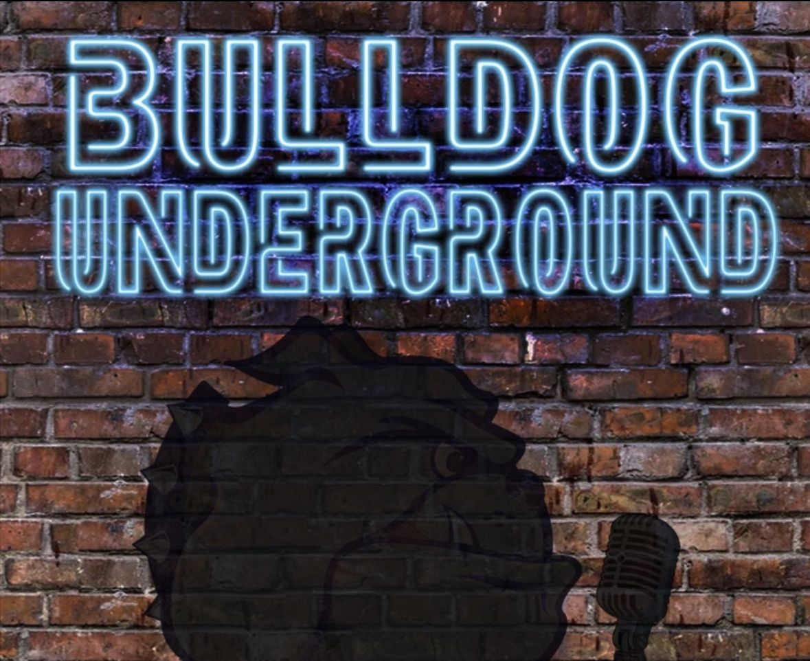 shadow of a bulldog against a brick building