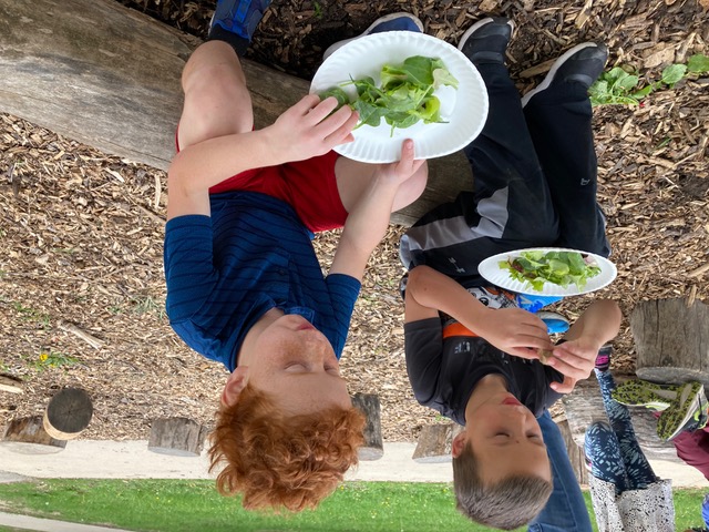 kids eating 