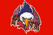 Liberty Eagle logo