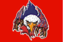Liberty Eagle logo