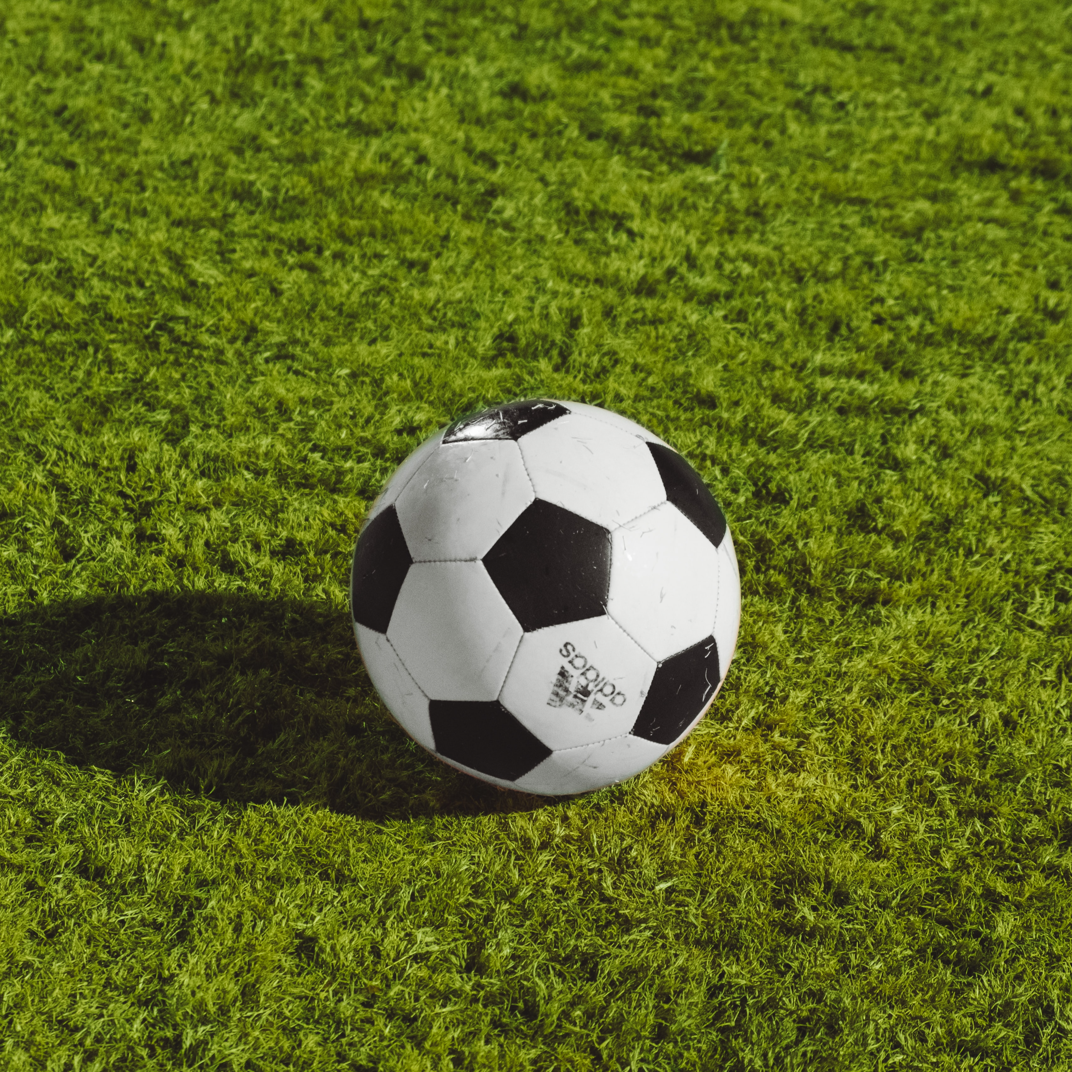 picture of soccer ball