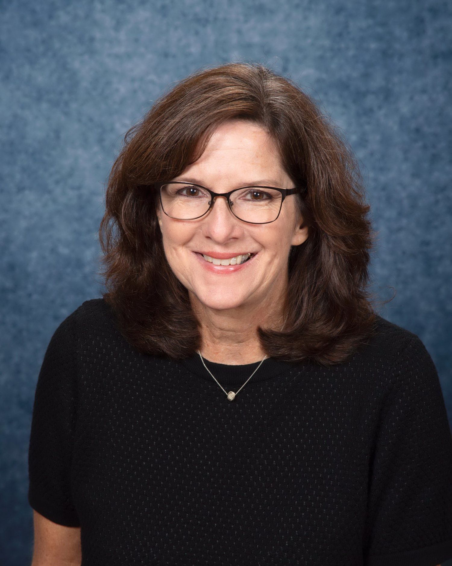 About Galena Unit School District 120