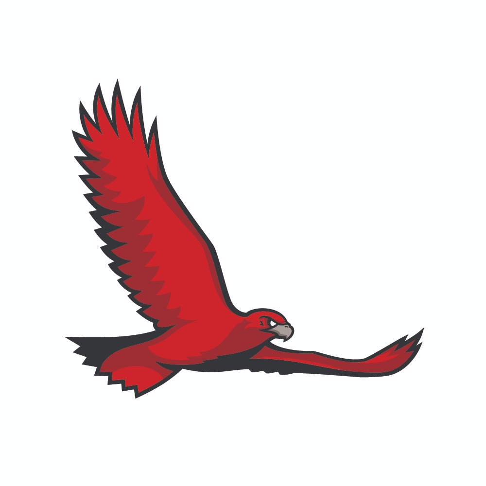 Flying Hawk