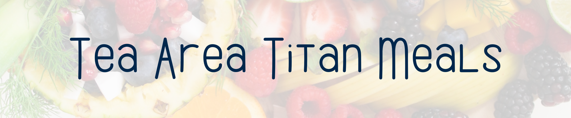 Titan Meals