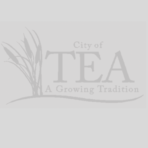 City of Tea