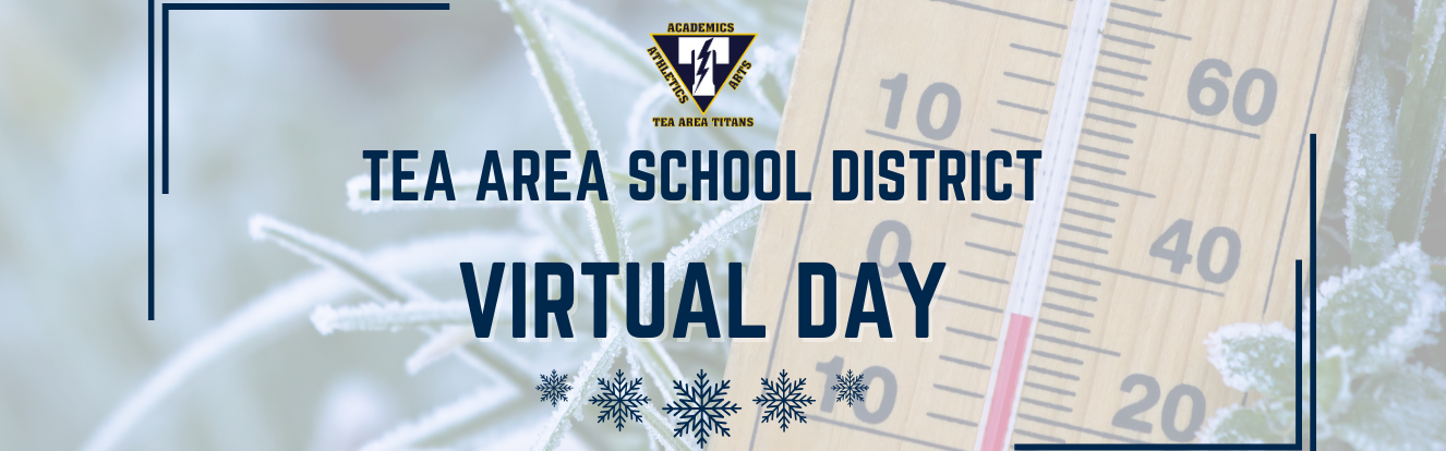 Virtual Day