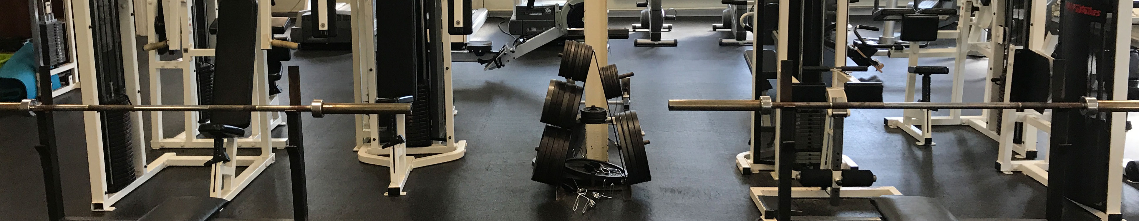 Fitness Center Weights