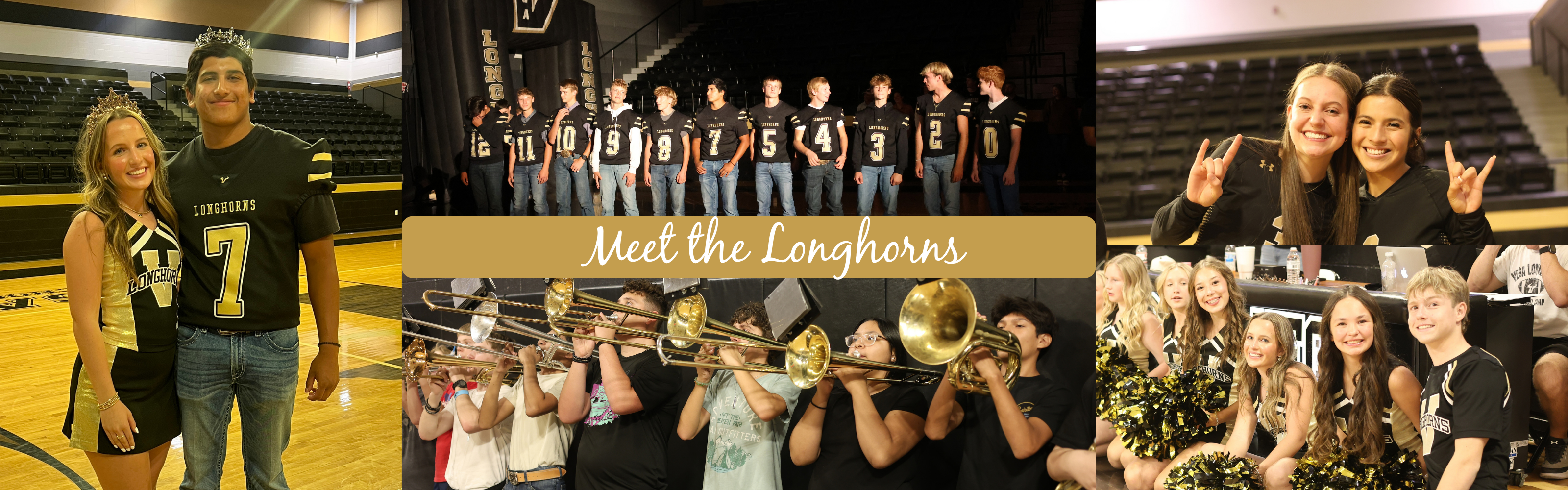 meet the longhorns