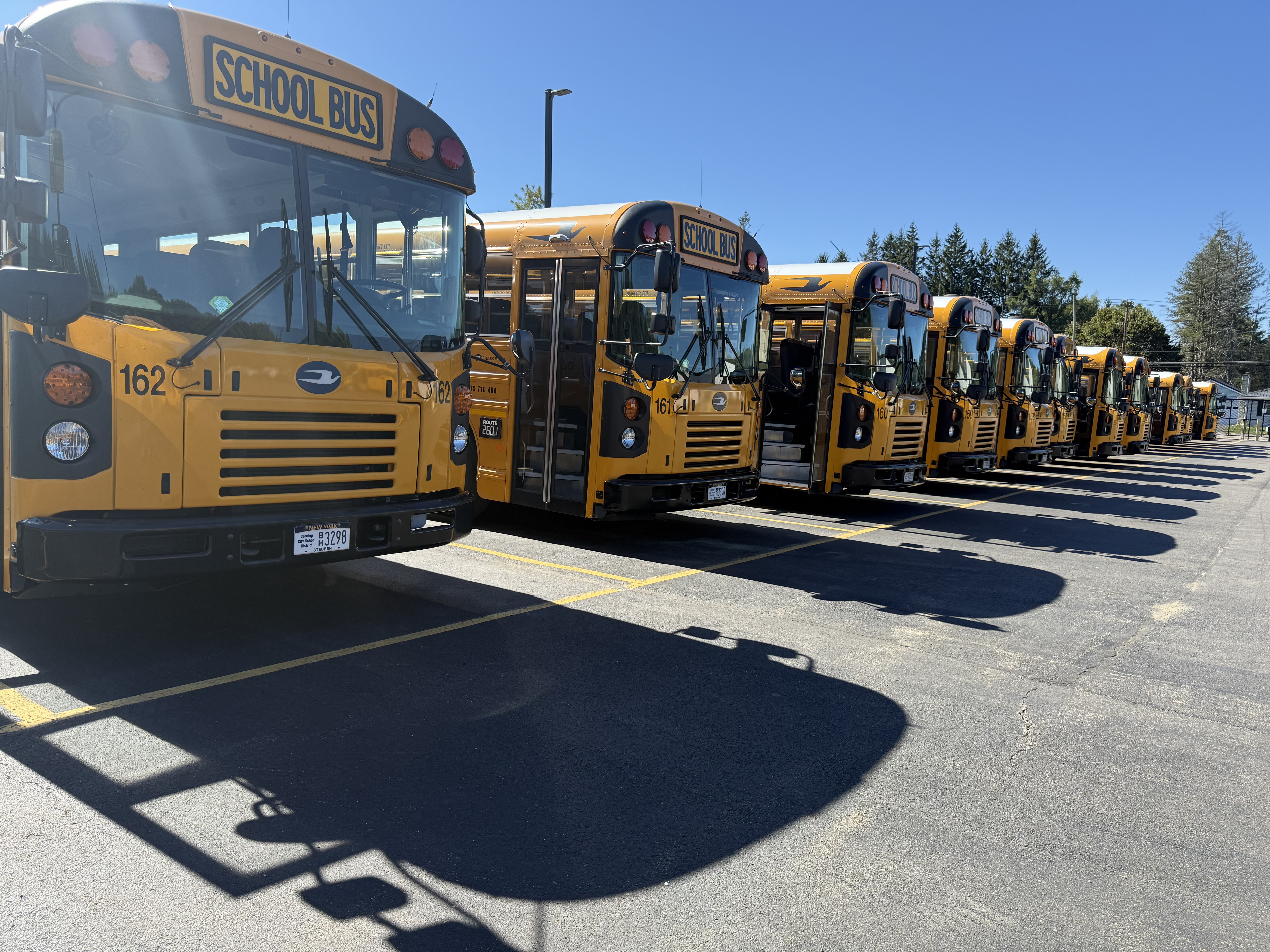 Buses
