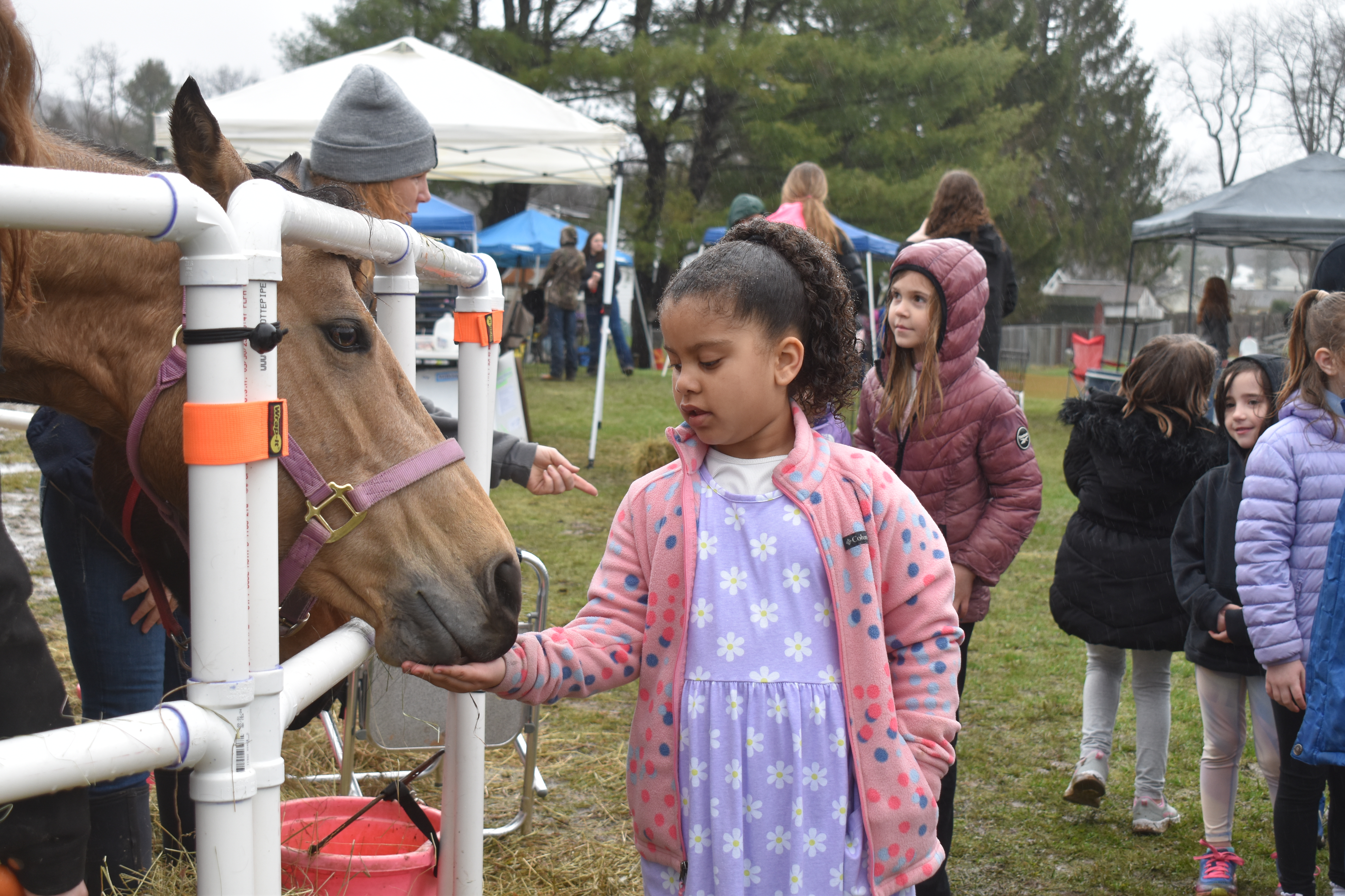 student feeding horse