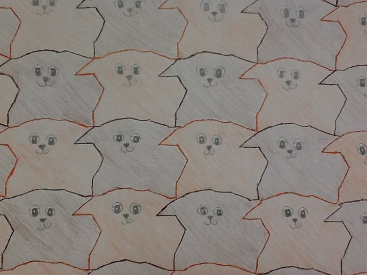 drawing