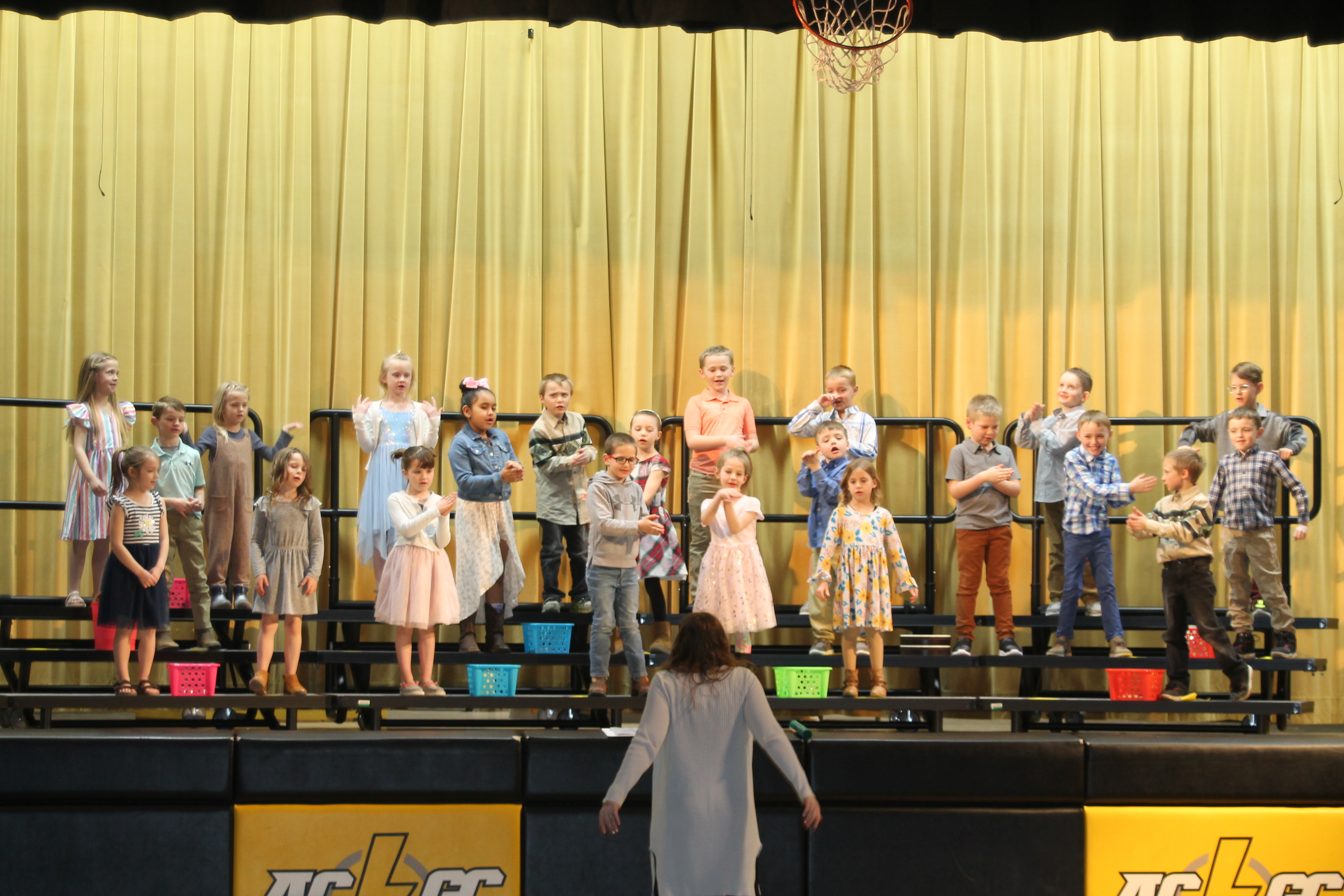 Elementary concert