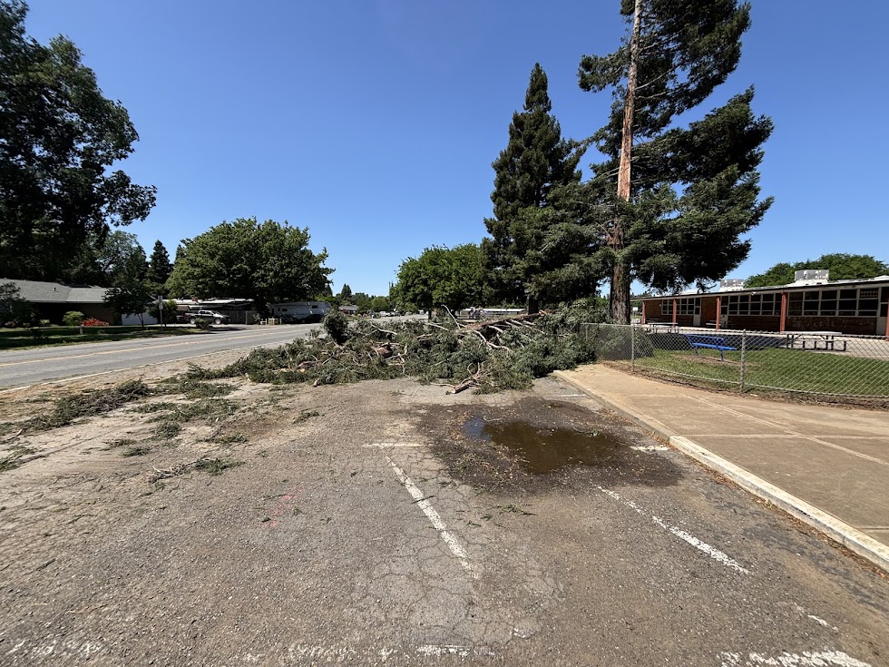 DUSD