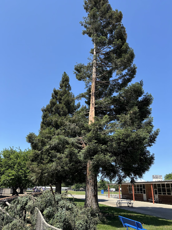 DUSD