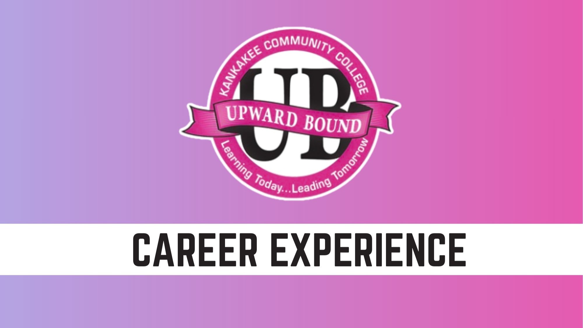 UB CAREER EXPERIENCE