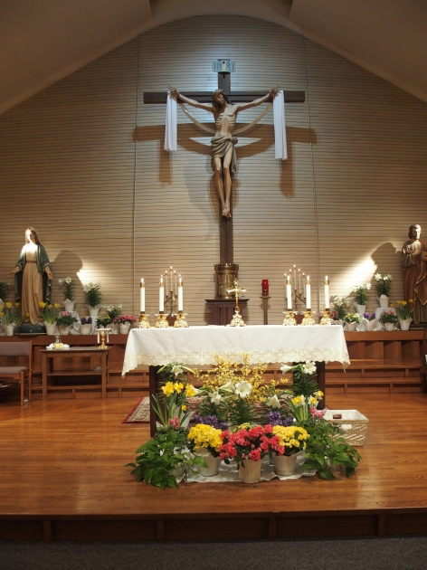 Mass Times | St. Francis of Assisi Catholic Church