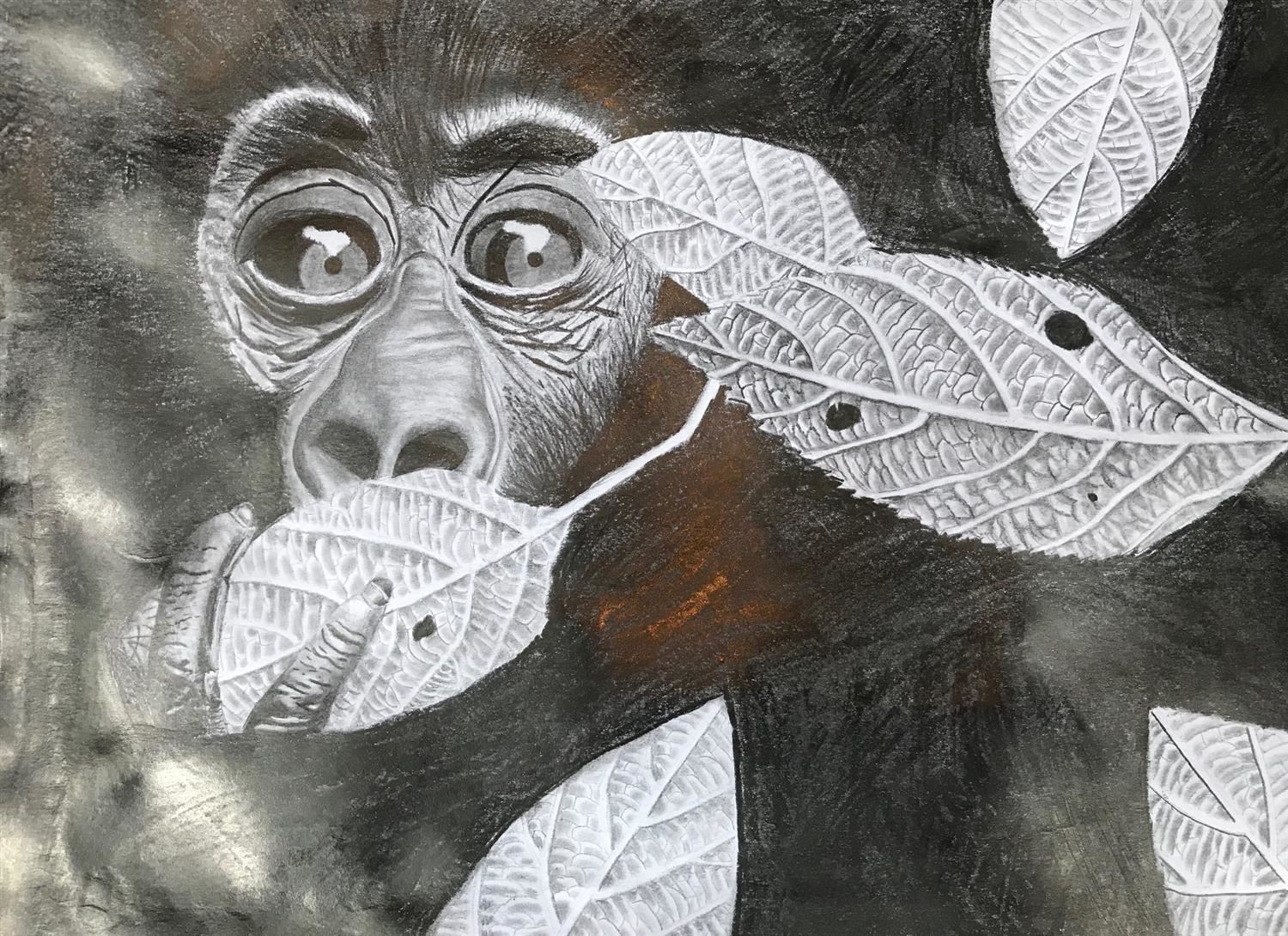 A photorealistic graphite drawing of a monkey looking through a patch of leaves.