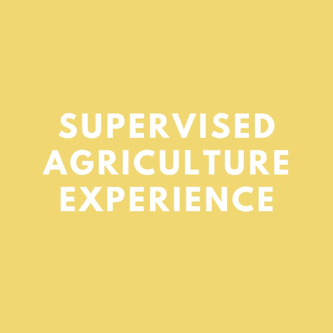 Supervised Agriculture Experience