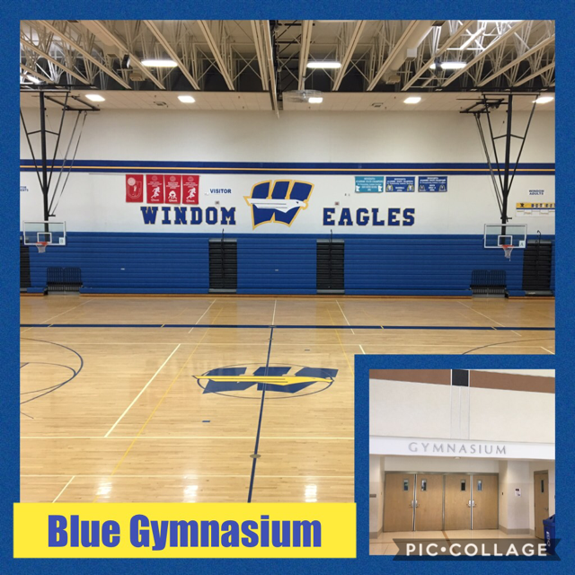 Blue gymnasium