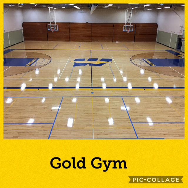 Gold Gymnasium