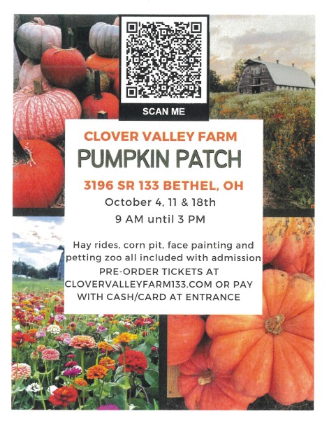 Pumpkin Patch 