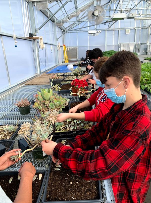 A line of students in the greenhouse working with plants