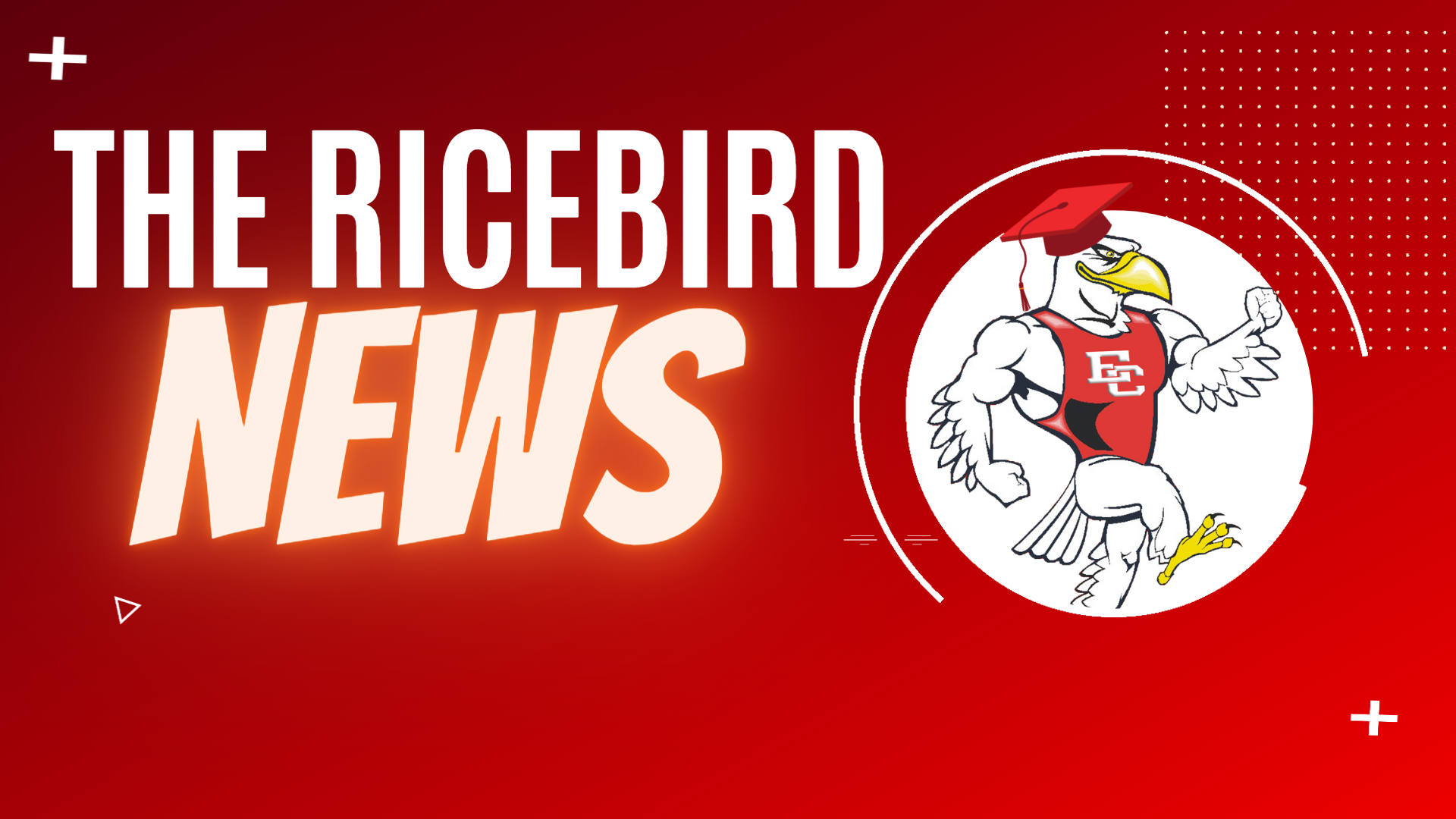 ricebird news banner