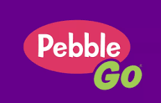 pebblego