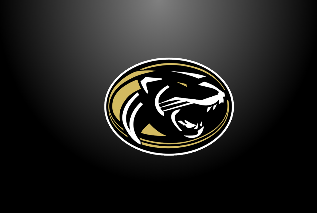 RayPec Panther Logo