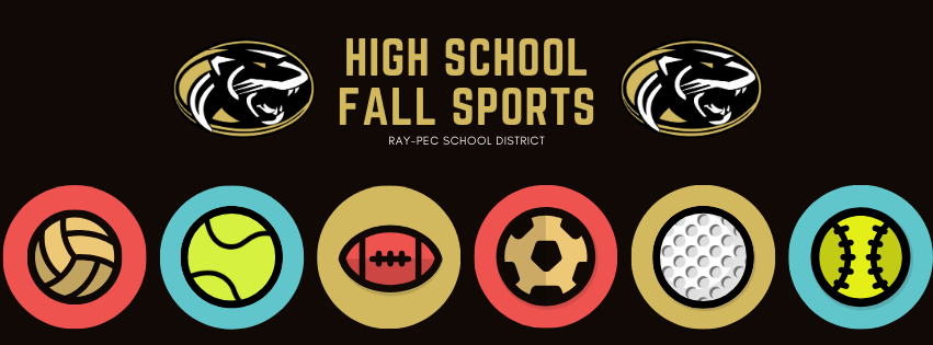 Graphic with the words "High School Fall Sports"
