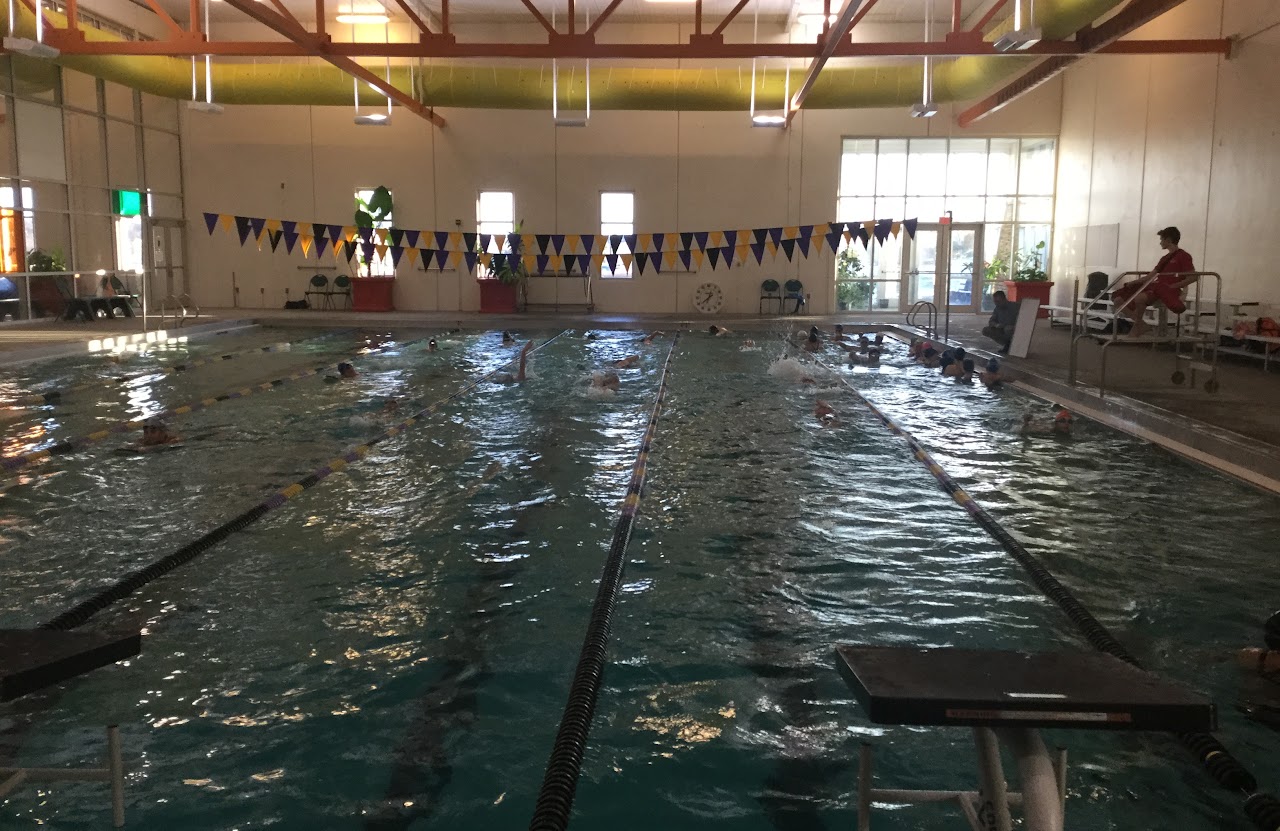 Swimming team at swimming pool practicing and having fun