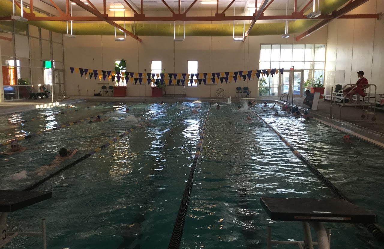 Swimming team at swimming pool practicing and having fun