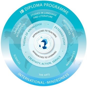 IB diploma programme and subjects graph