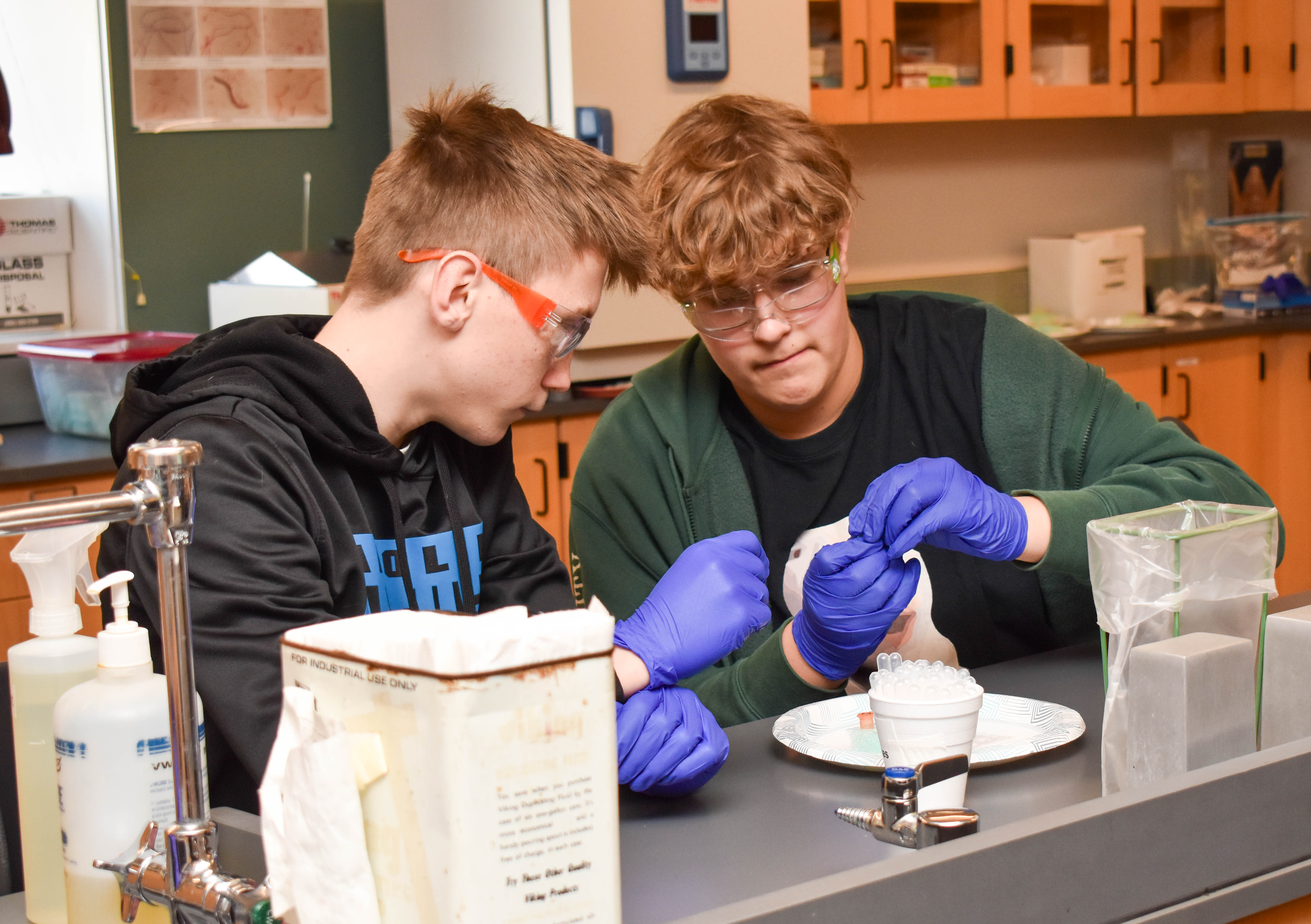 students doing lab experiments 