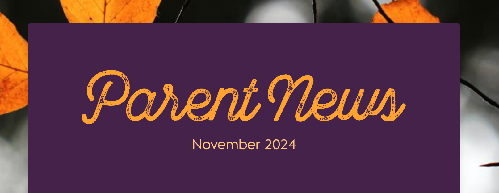 November 2024 Newsletter