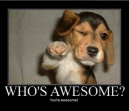 Who is awesome? YOU are awesome!