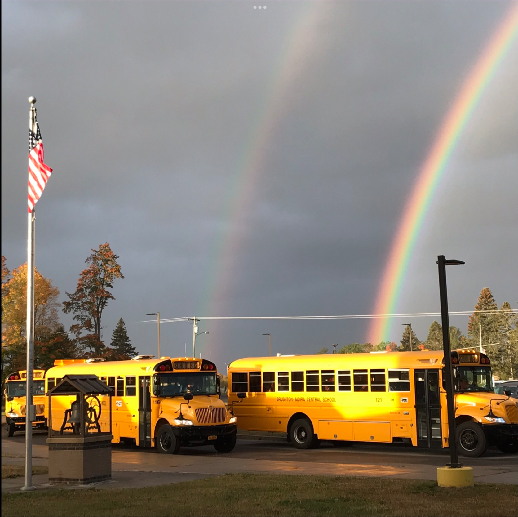 Bus