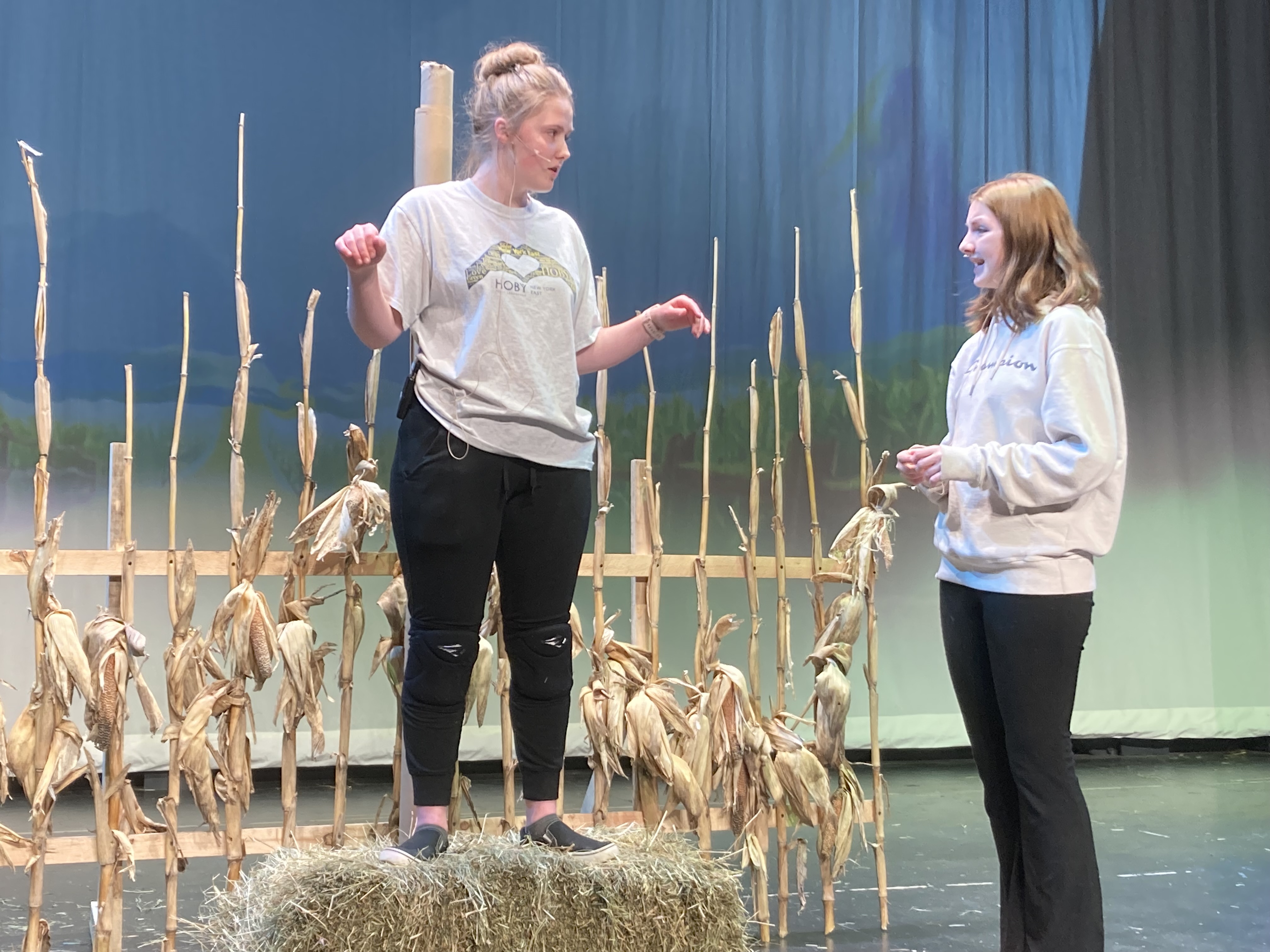 Scarecrow and Dorothy act on stage. 