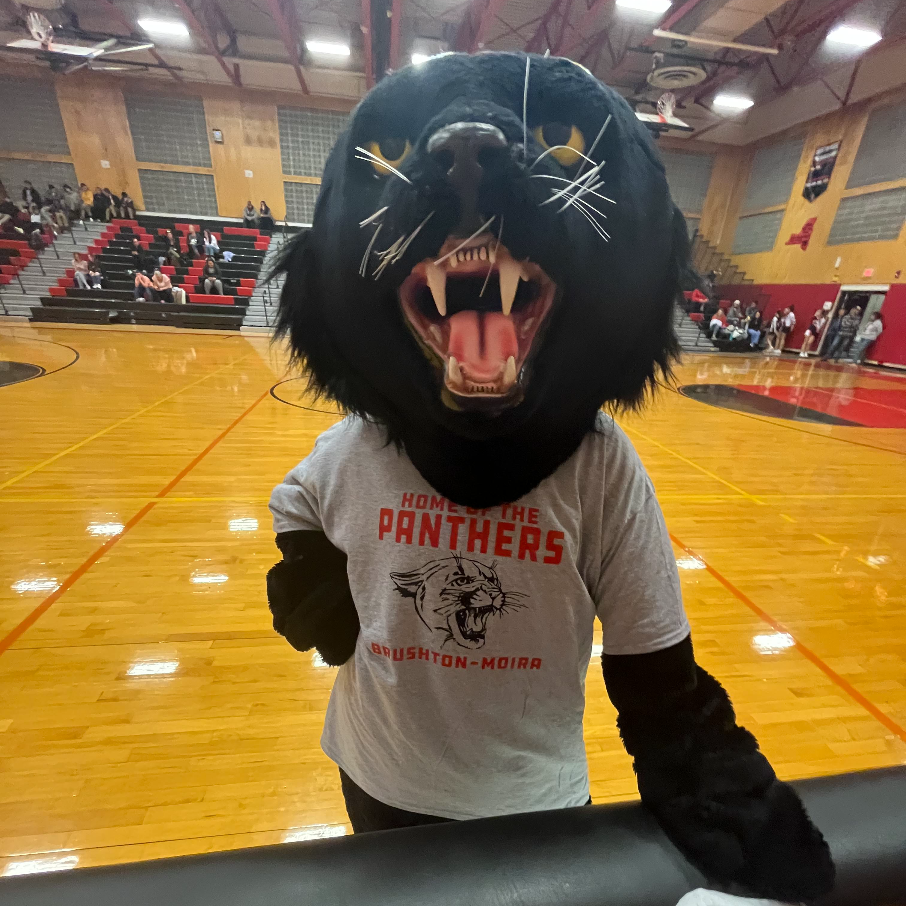 BMC Panther mascot stands in the gymnasium