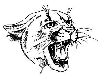 panther
