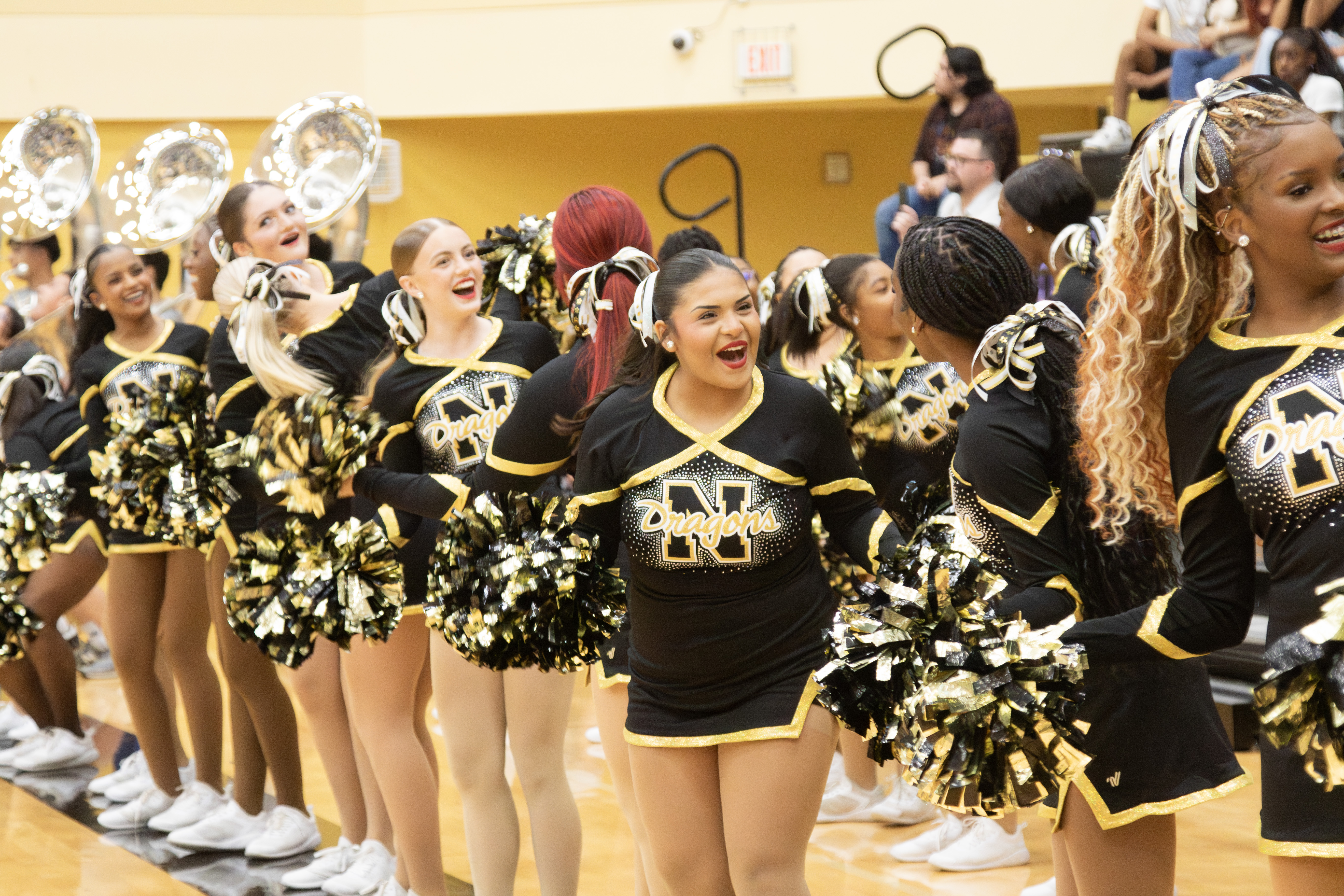 Meet The Dragons, NHS