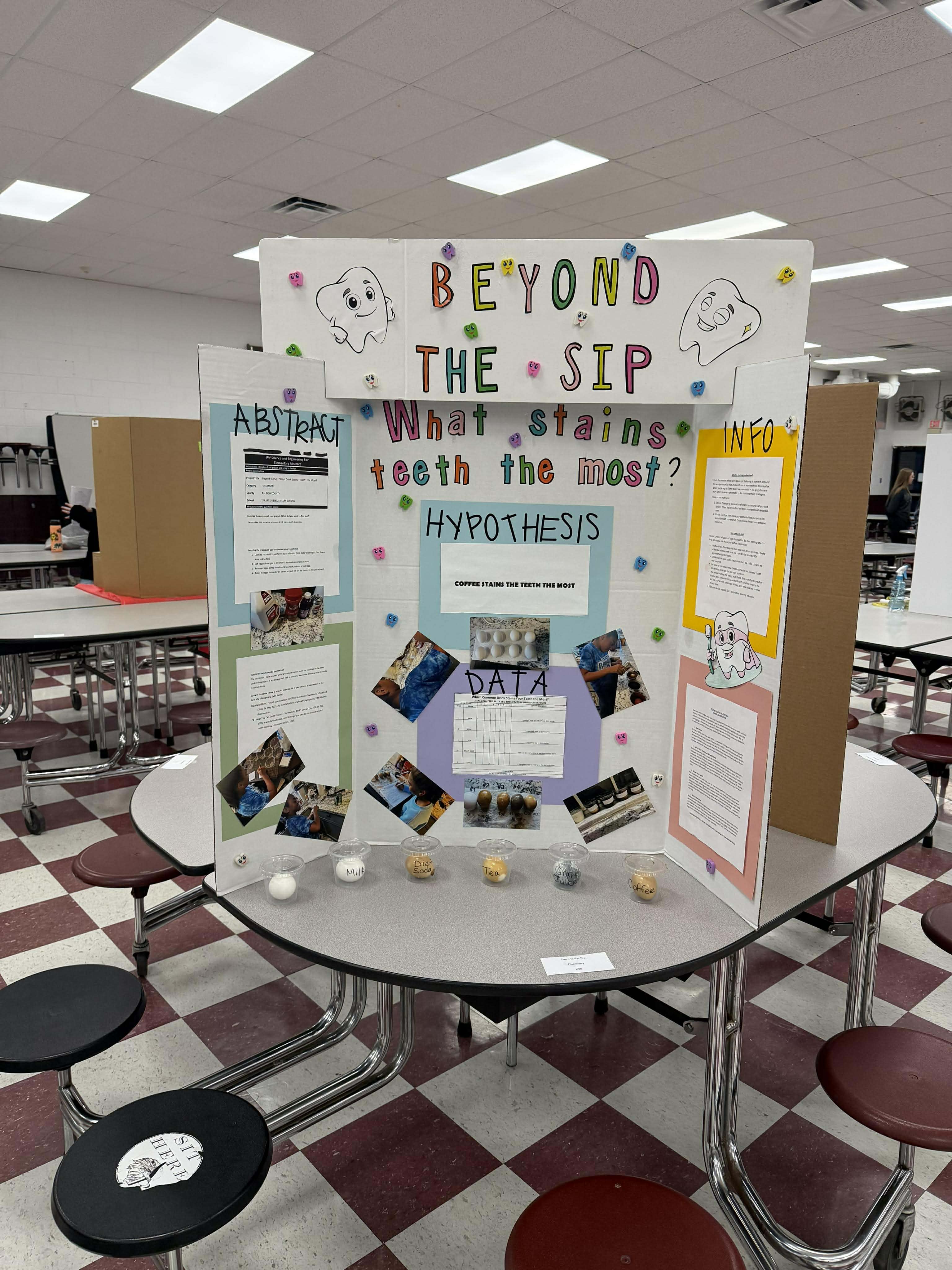 Science Fair Projects
