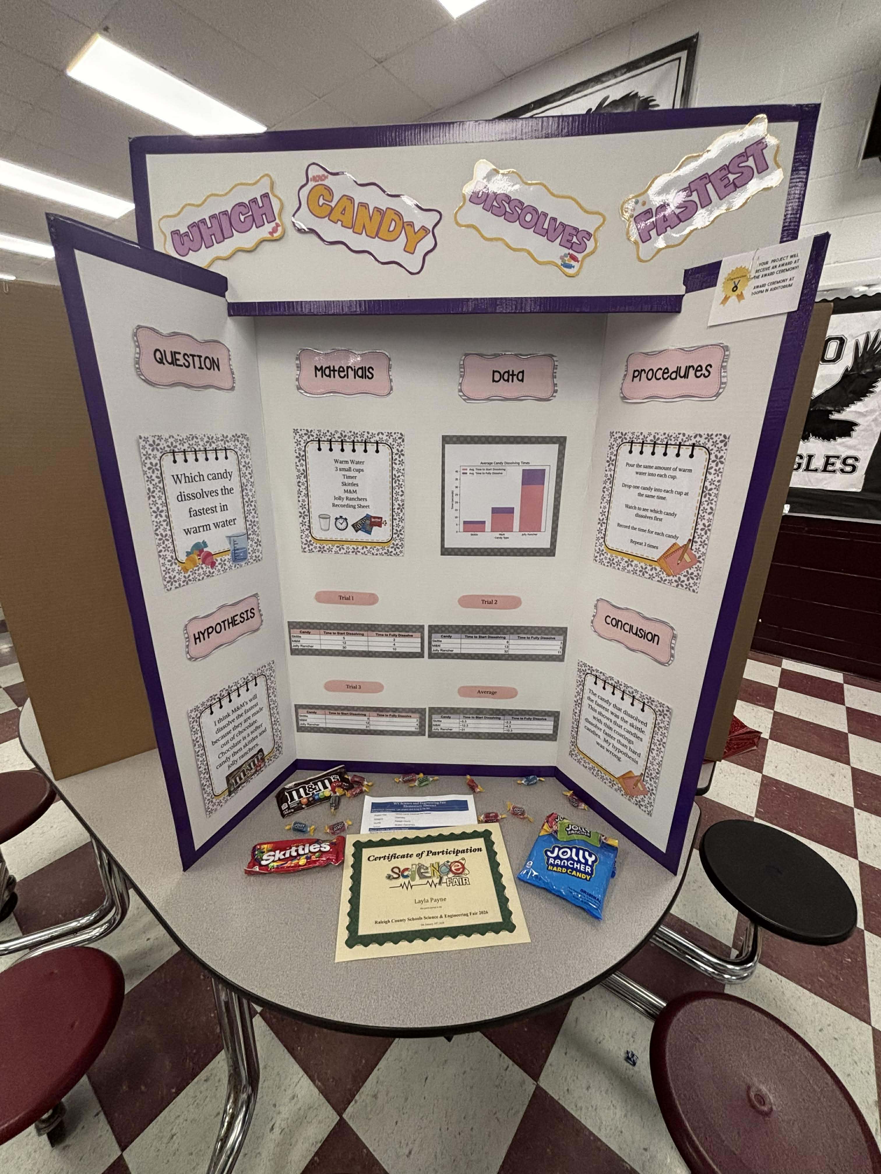 Science Fair Projects