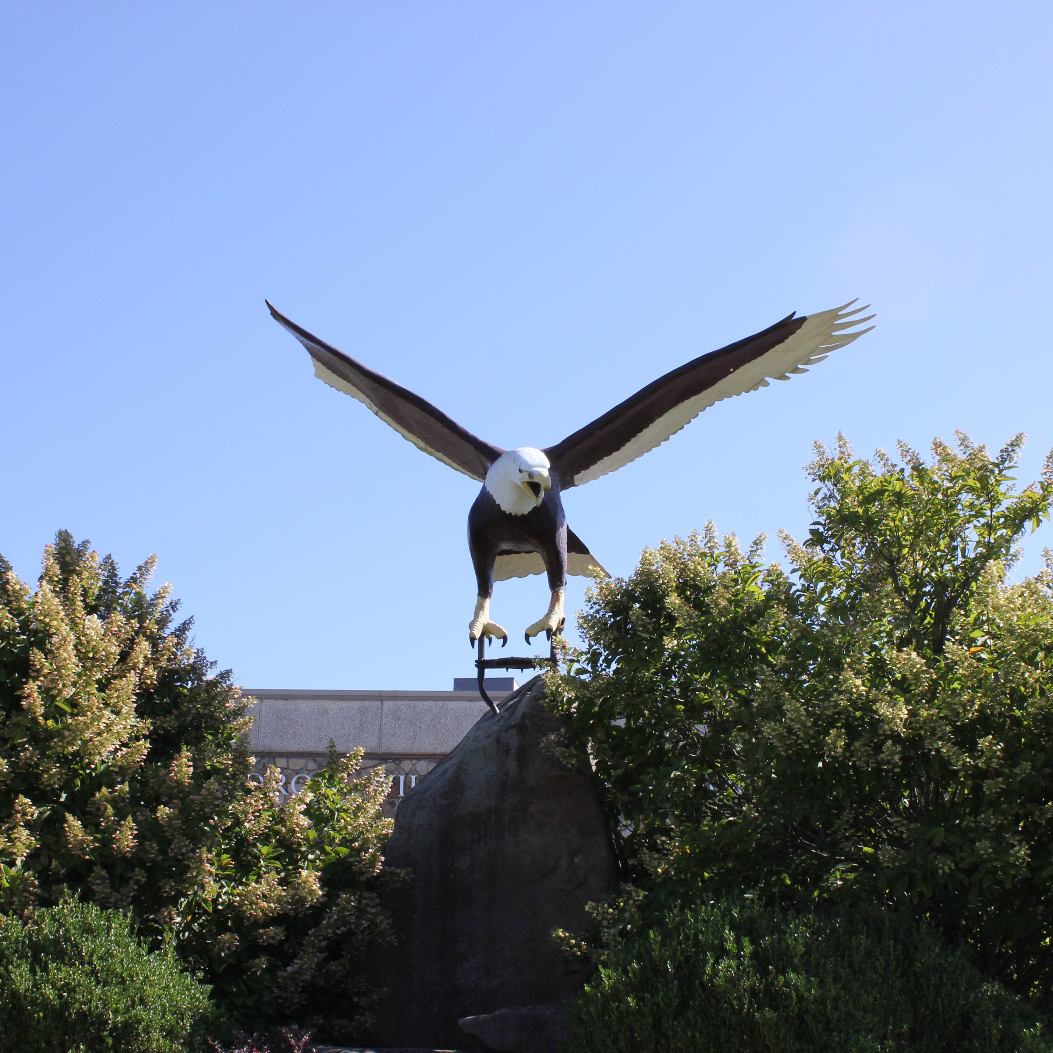 An eagle statue stands atop a rock surrounded by greenery, with wings spread wide under a blue sky.