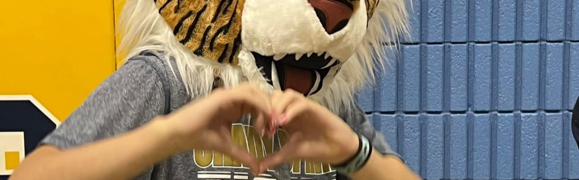 TIGERS