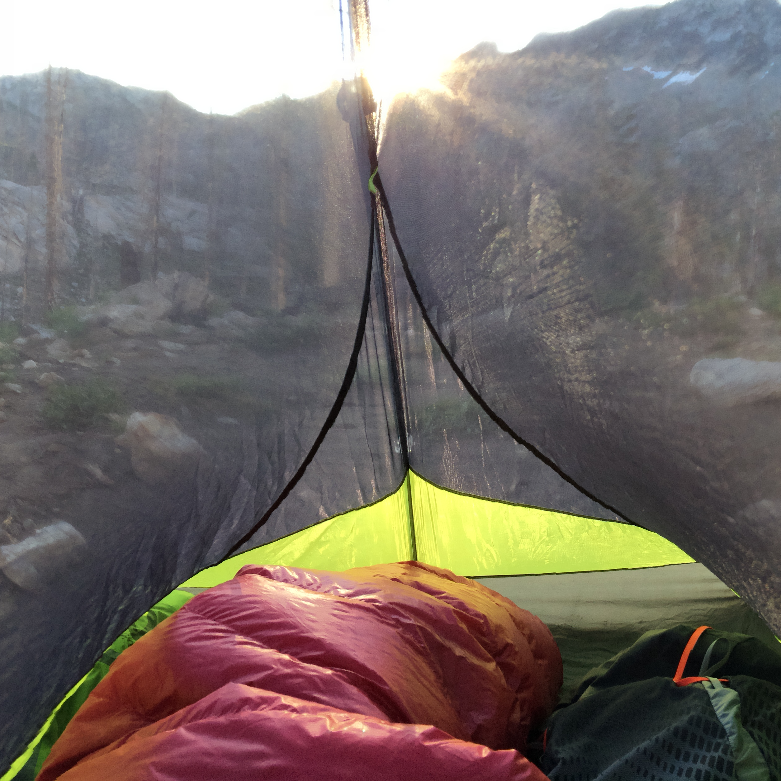 Morning in the Sawtooth National Forest